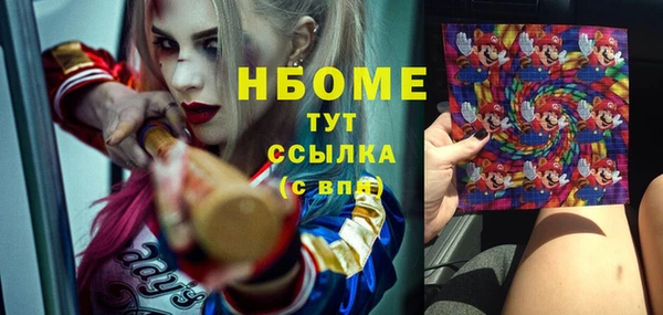 мдпв Абаза