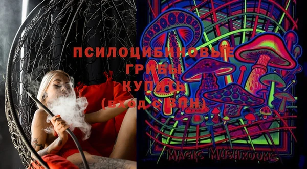 мдпв Абаза