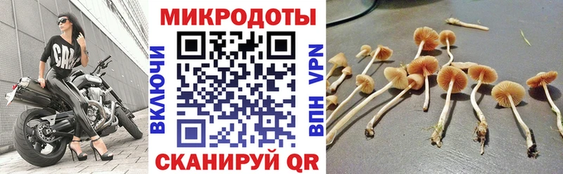 где купить наркотик  Шлиссельбург  Псилоцибиновые грибы GOLDEN TEACHER 